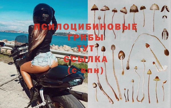 спайс Магас