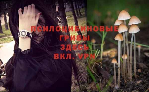 спайс Магас