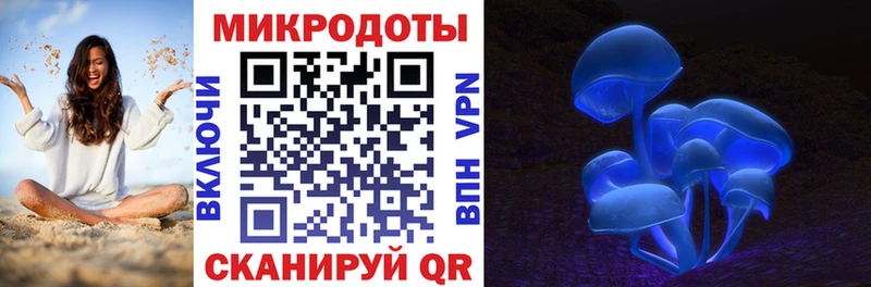 Купить закладки  Звенигово  Псилоцибиновые грибы Cubensis 