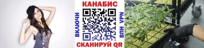 Купить  Звенигово  Конопля ГИДРОПОН 